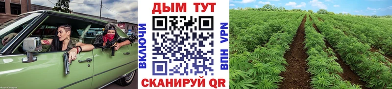 Виды наркотиков купить Орлов Alpha-PVP  Меф  Гашиш  мега   МЕТАДОН  Cocaine  Каннабис 