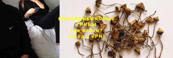 spice Алзамай