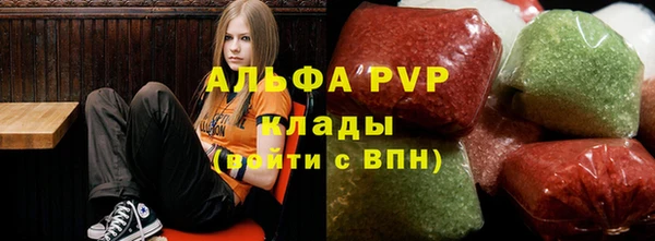 spice Алзамай